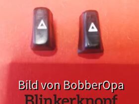 Blinker Knopf von Indian Modellen als 3D-Druck